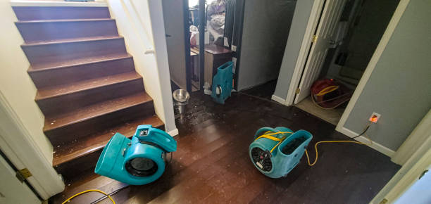 Best Water damage restoration near me  in Industry, PA