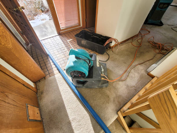 Best Basement water damage restoration  in Industry, PA