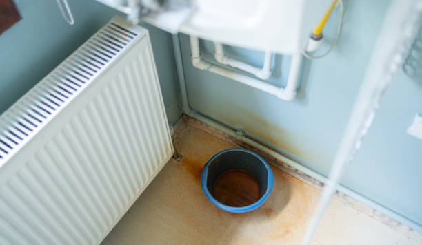 Best Flood damage cleanup  in Industry, PA